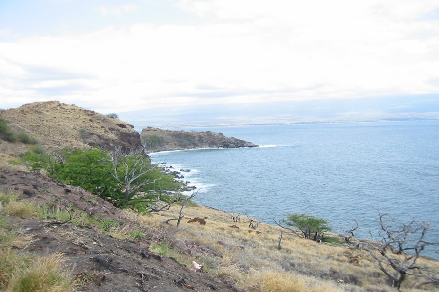 ../image/coastline near lahaina.jpg